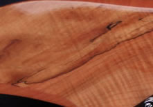 Spalted Maple