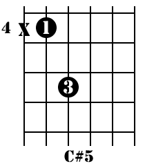 C#5 Chord Diagram
